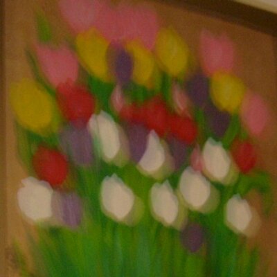 Profile Picture of Yolanda Salgado (@yolandasalgado4) on Twitter