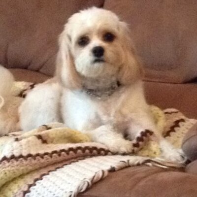 Profile Picture of Janet Simcox (@grammasimss) on Twitter