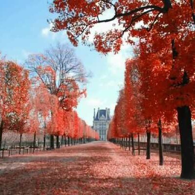 Profile Picture of Yogesh Rathod (@yogeshrathod777) on Twitter