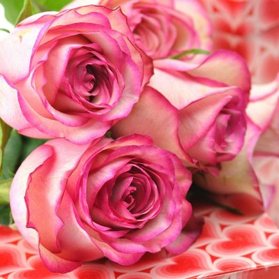 Profile Picture of Bindu Mary Mathews (@MathewsBindu) on Twitter