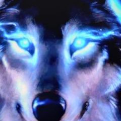 Profile Picture of Roberta Passera (@roberta.passera6) on Tiktok