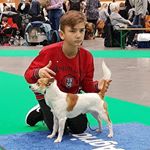 Profile Picture of David Nilsson (@david_sunsa) on Instagram