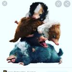 Profile Picture of margaux bastien (@alison_57601) on Instagram