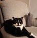 Profile Picture of Kenneth Shaughnessy (@kenneth.shaughnessy.3) on Facebook