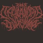 Profile Picture of The Cassandra Dilemma (@thecassandradilemma) on Instagram