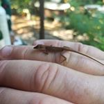 Profile Picture of Matt Meanderponder (@meanderponder) on Instagram