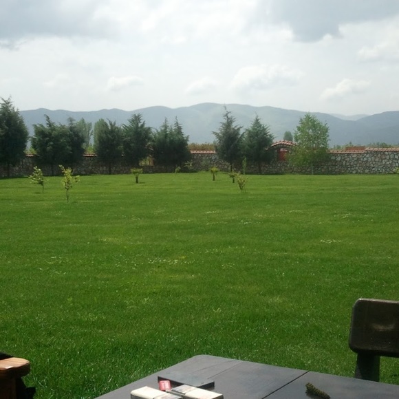 Gorge Tabanov - Poshmark Profile Picture of Gorge Tabanov (@gorgetabanov) on Poshmark