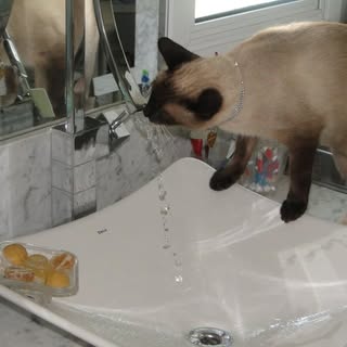 Profile Picture of Marcio Teixeira (@marcioteixeira1) on Instagram