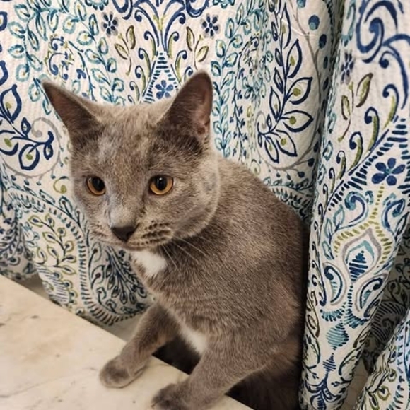 Profile Picture of Shaunna Jenkins (@shaunna_jenkins) on Poshmark