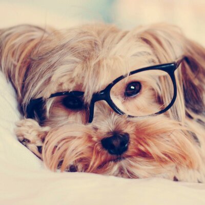 Profile Picture of Grace Schultz (@katiekim23) on Twitter