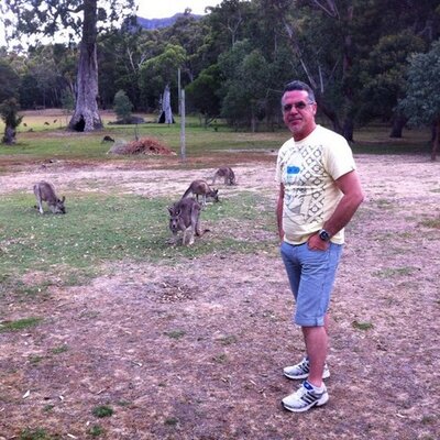 Profile Picture of Joe Scalora (@scalj) on Twitter