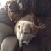 Profile Picture of Joe Donegan (@joe.donegan.524) on Facebook