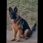 Profile Picture of Benjamin Ullmann (@benjamin.ullmann.585) on Facebook