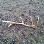 Profile Picture of John Edward Patronske (@johnedwardpatrons) on Instagram