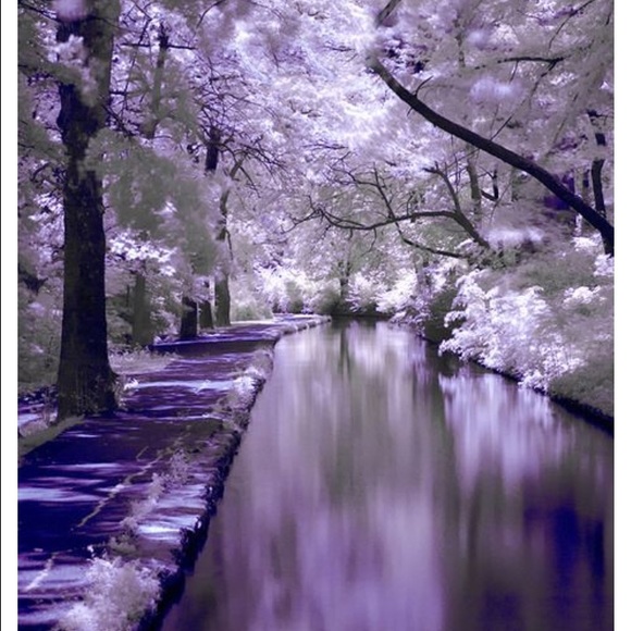 Profile Picture of Bobbie Vanbruggen (@bobbi581) on Poshmark