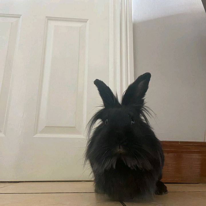 Profile Picture of Vincent Hughes (@vincenthughes4) on Tiktok