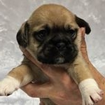 Profile Picture of Teddy🤘!!! (@teddy_xo_pace) on Instagram