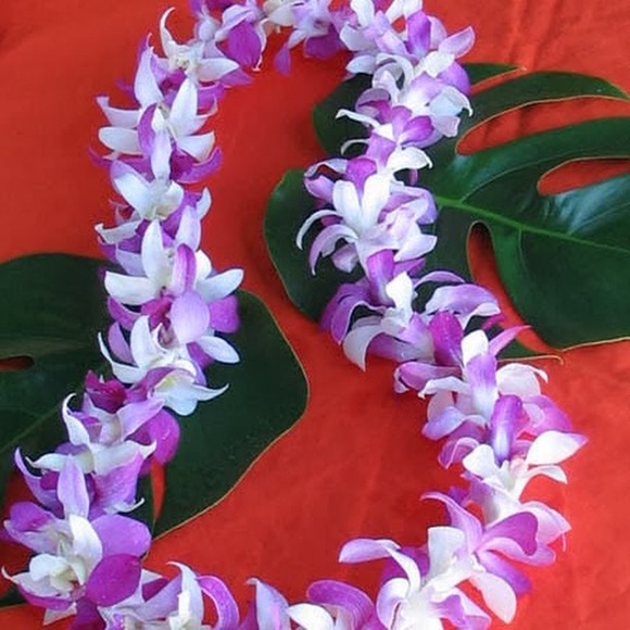 Profile Picture of Kupana wahines Corner (@kupanawahinesco) on Poshmark