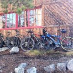 Profile Picture of Michael Lagerborg (@lago1234) on Instagram