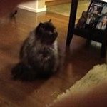 Sharon Hull - Instagram Profile Picture of Sharon Hull (@sharonhull43) on Instagram