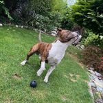 Profile Picture of Bryan Bierbaumer (@bierbaumerbryan) on Instagram