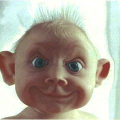 Profile Picture of Martin Mulligan (@@martinmully69) on Tiktok