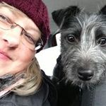 Profile Picture of Cathy Lowe (@cathyllowe) on Instagram