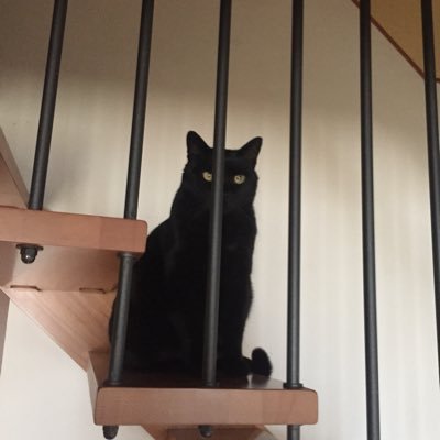 Profile Picture of Stefano Damiani (@@1963_steve) on Twitter