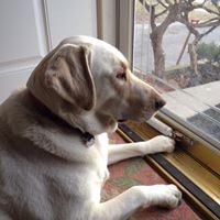 Profile Picture of Rhonda Draski-salani (@rhonda-draski-salani) on Quora