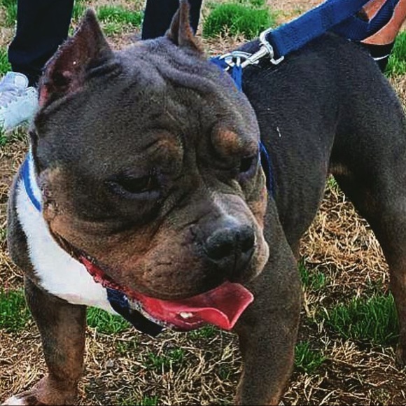 Profile Picture of Jonathan Esquivel (@jonathanesquive) on Poshmark