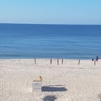 Profile Picture of Laura Mccauley (@Laura-Mccauley) on Facebook