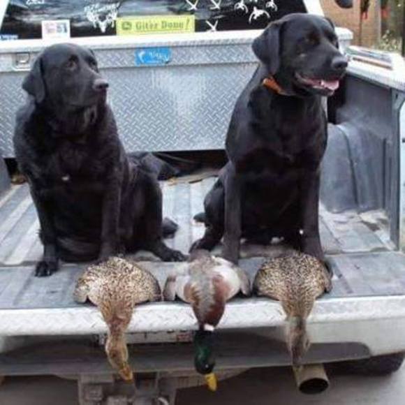 Profile Picture of Buck Aytes (@buck_aytes) on Poshmark