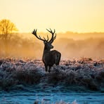 Profile Picture of Justin Crout (@Justin-Crout) on Facebook