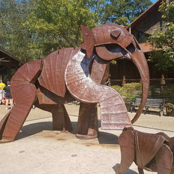 Profile Picture of Alicoa Selvig (@aselly) on Poshmark