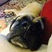 Profile Picture of Kenneth Homestead (@Kenneth-Homestead) on Facebook