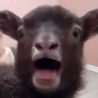 Profile Picture of Aiden Webb (@samsungdsw1959) on Twitter