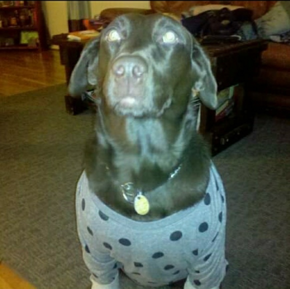 Profile Picture of Erin Terwilliger (@erint83610) on Poshmark