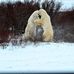Profile Picture of Brian Lepage (@brian.lepage.12) on Facebook