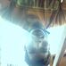 Profile Picture of Daniel Sauro (@daniel.sauro.9634) on Facebook