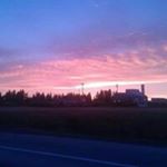 Profile Picture of Christopher Daniel Wainscott (@christopherwainscott) on Instagram