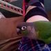 Profile Picture of Jeffrey Auer (@jeffrey.auer.16) on Facebook