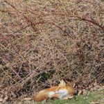 Profile Picture of Danielle Bajus Mercurio (@danibajmerc) on Instagram