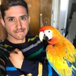 Profile Picture of Flare&Edison (@eddiegoldenbird) on Instagram