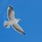 Profile Picture of Judy Morrison (@judy.morrison.7359) on Facebook