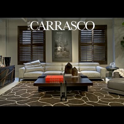Profile Picture of Raul Carrasco NYC (@RaulCarrascoNYC) on Twitter