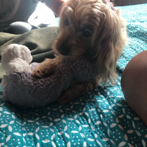 Profile Picture of Sangwan Ernst (@sangwanernst) on Poshmark