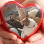 Profile Picture of Debbie Henning (@debbie.henning.14) on Instagram