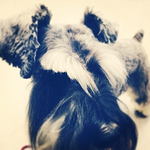 Profile Picture of Thomas Maceachern-flatt (@tmacflatt) on Flickr