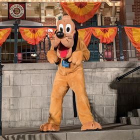 Profile Picture of Lisa Gray Hagler (@lizamoniq) on Pinterest