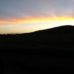 Profile Picture of Kim Grizzell (@kimdevgriz) on Instagram